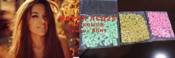 прущие крисы Бородино