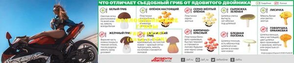 MDMA Волоколамск