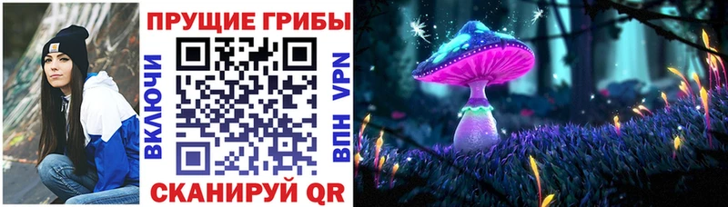 Купить  Вяземский  Галлюциногенные грибы ЛСД 